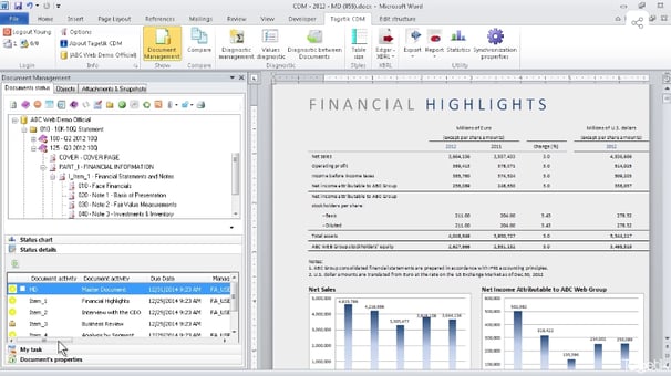 annual financial reporting software