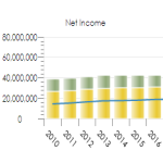 ANNUAL FINANCIAL REPORTING